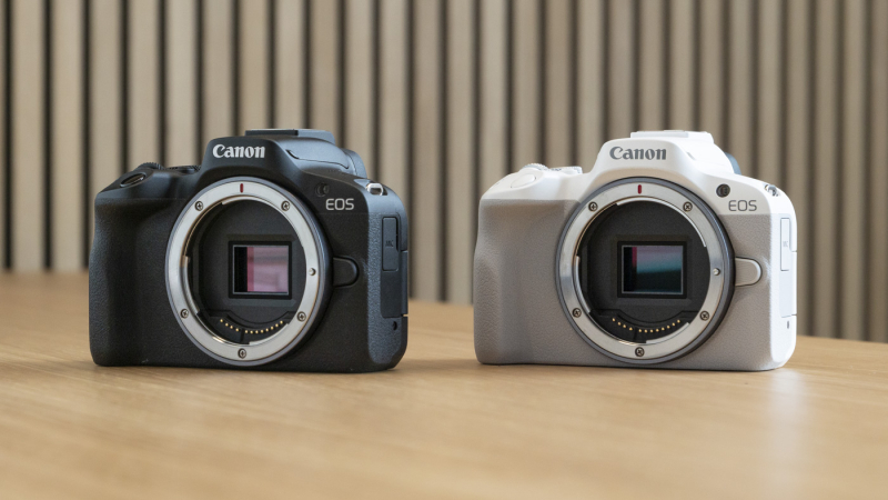 Практика: обзор Canon EOS R50 — меньше, легче, проще, дешевле