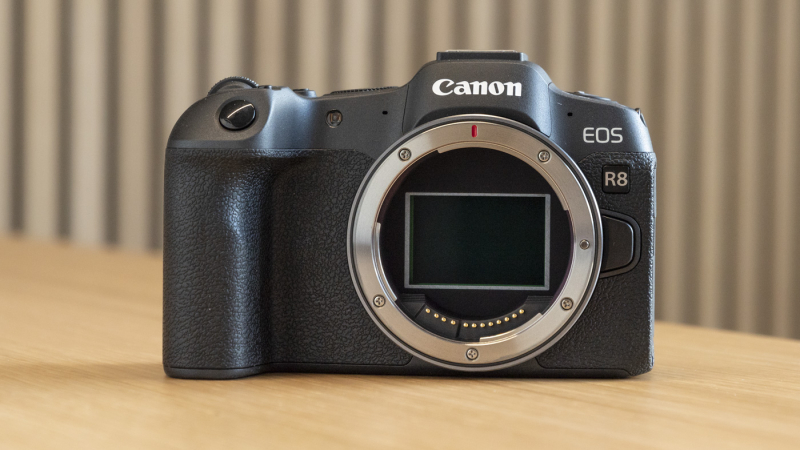 Практика: обзор Canon EOS R8 — качественное исполнение по приятной цене